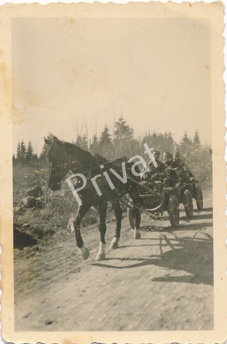 Foto wkii wehrmacht soldati - wehrmacht,