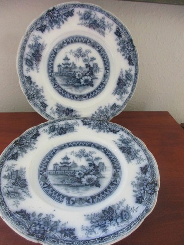 Yeddo royal staffordshire - yeddo*royal,