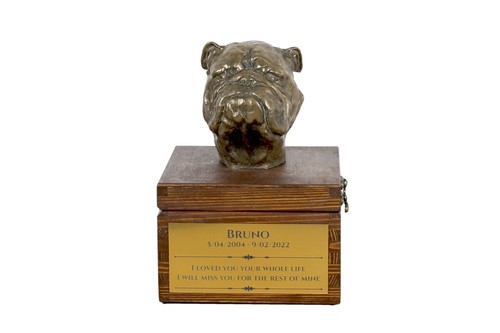 Bulldog inglese urna - , sulla