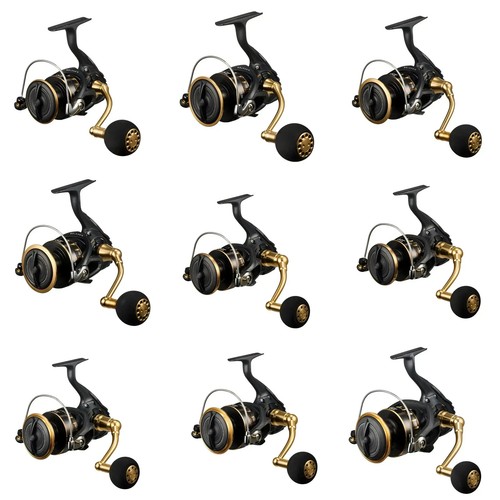Mulinelli spinning daiwa - da,
