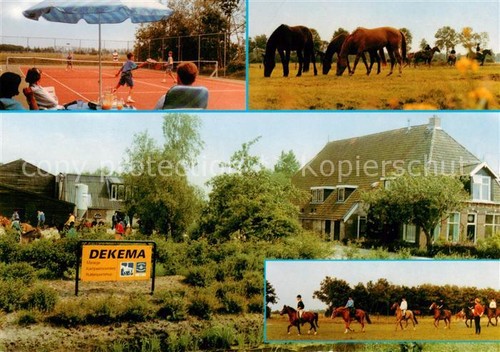 Gorredijk kampeergoerderij - gorredijk,
