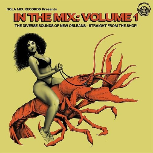 Various artists the - in,