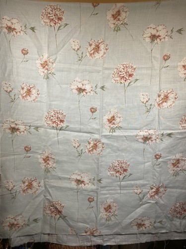 Sanderson peony stem - peony, dbarpd1