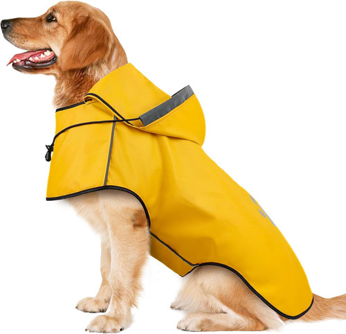 Impermeabile cane taglia - cane,