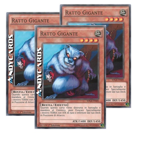 Ratto gigante giant - gigante, •