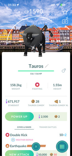 Pokémon shiny tauros - pokémon,