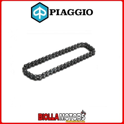 434447 catena pompa - 434447, olio