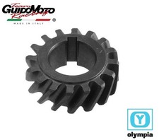 INGRANAGGIO Z 16 RAPPORTO