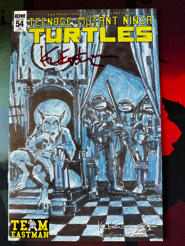 Teenage mutant ninja turtles - ninja,