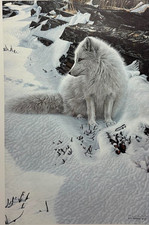 Ron Parker Blue Shadows -