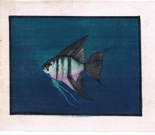 Dipinto fatto mano - dipinto, pesce