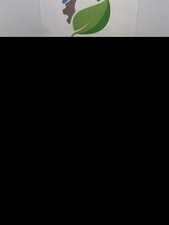 Furuno FE-701 Nav Echo Sound