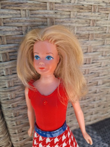Barbie grow skipper vintage - barbie, up
