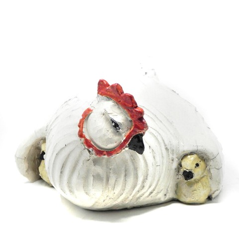 Gallina con pulcini - pulcini,