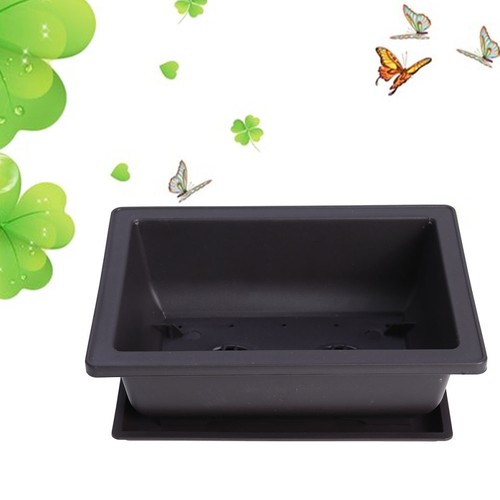 Pezzi plastica succulente - 3,