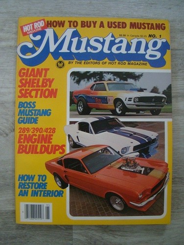 Vintage hot rod mustang - vintage,