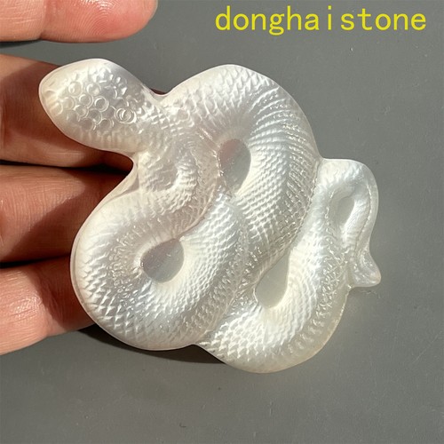 Teschio serpente in - di,