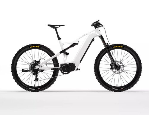 Mountain bike elettrica dengfu - bike,