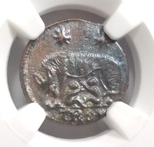 Gemelli Lupo Costantiniani NGC