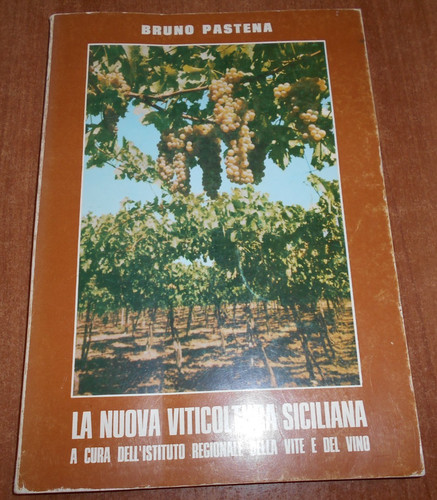 Bruno pastena nuova - bruno,