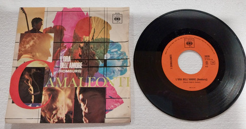 Vinile giri camaleonti - 45,