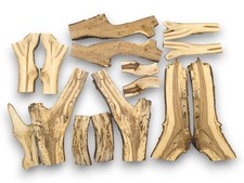 Ramo di legno naturale diviso