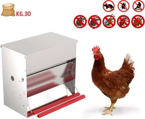 Mangiatoia avicoli polli - mangiatoia, avicoli,