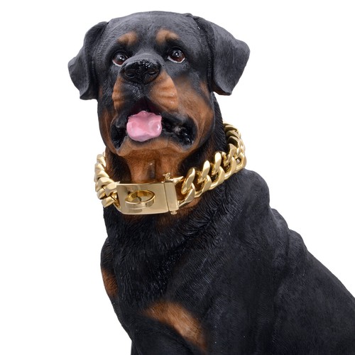 Collare per cani oro - collare,