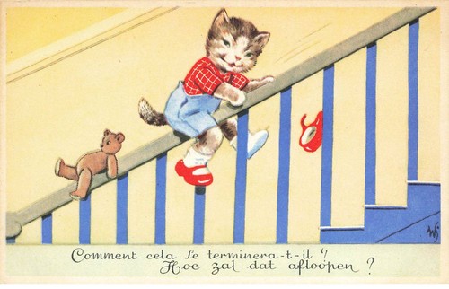 Gatto 35283 gatti cat katze - #35283,