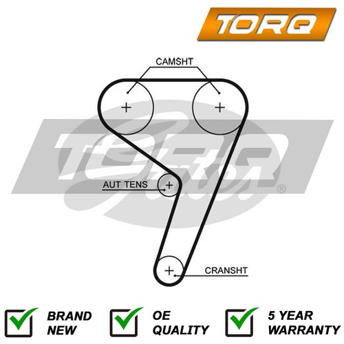 Cinghia distribuzione torq - cinghia,