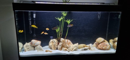 Acquario con mobile - mobile, ciano
