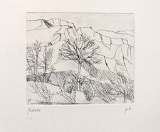 RENZO BIASION (1914-1996) Acquaforte originale firmata numerata p.a.