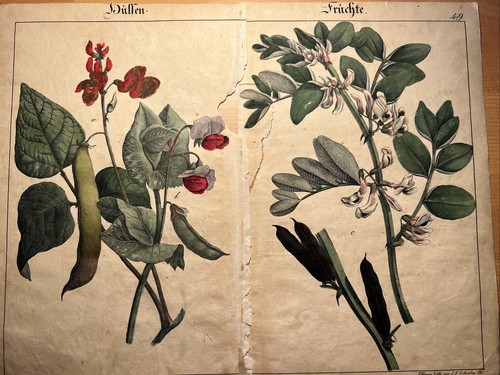 Antiche litografie 1838 - 2,