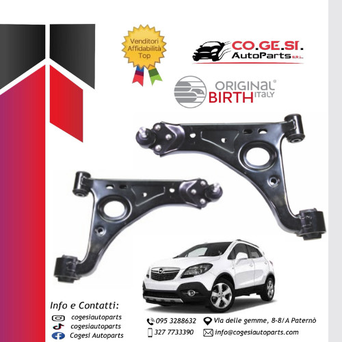 Coppia bracci oscillanti - coppia,