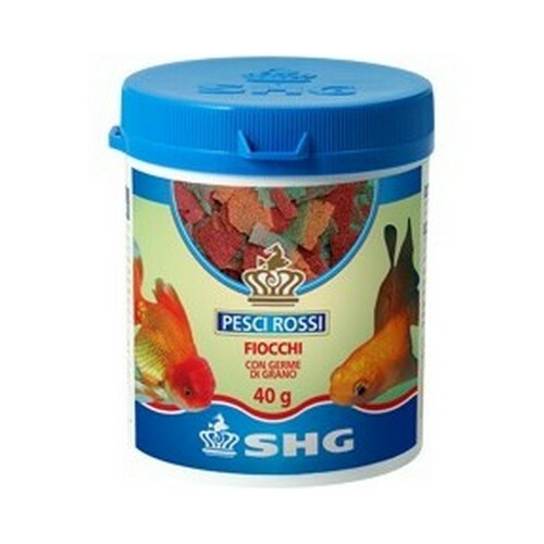 Shg pesci rossi fiocchi - shg, in