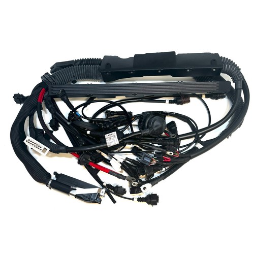 Cablaggio motore bmw - motore, dme