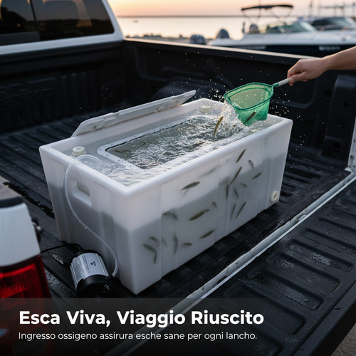 Vasca del vivo portatile - vasca,