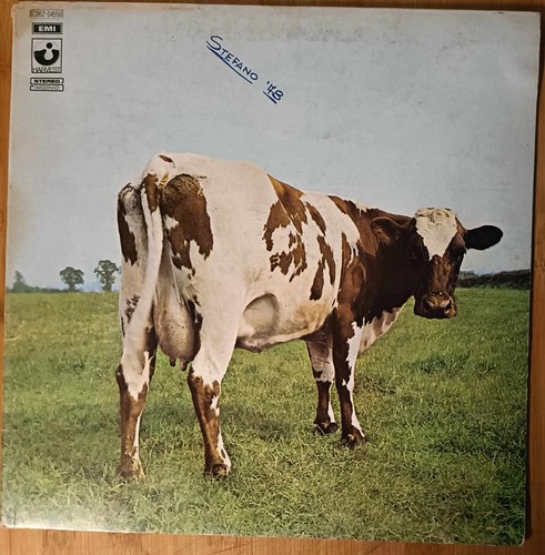 Pink floyd atom - pink,