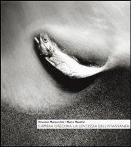 Libri vincenzo marzocchini - vincenzo, /