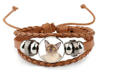 Burmese Cat Pet Brown Leather