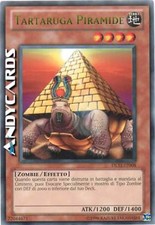 TARTARUGA PIRAMIDE (Pyramid