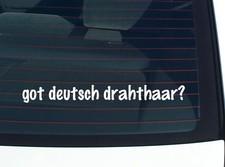 got deutsch drahthaar? CAR