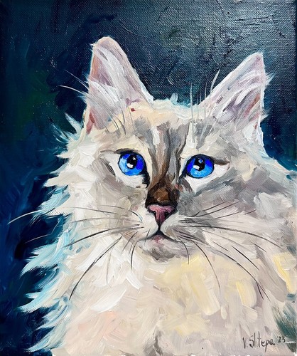Dipinto olio originale - , gatto
