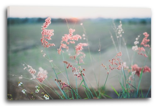 Tela cornice fiori - tela/cornice,