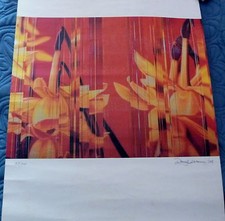 DANY VESCOVI FOTOLITOGRAFIA FIRMATA E NUMERATA