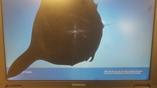 Notebook toshiba satellite - toshiba,