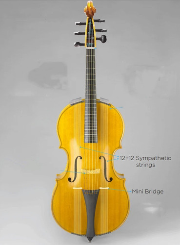 Violoncello arpeggione 4 - violoncello-arpeggione, 4/4