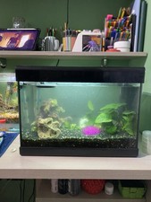 Acquario 28 L completo di