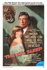 Il grande sonno 1978 - Robert