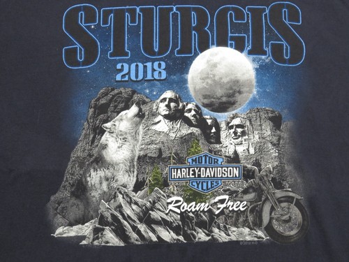 Shirt moto vintage - t-shirt, sturgis
